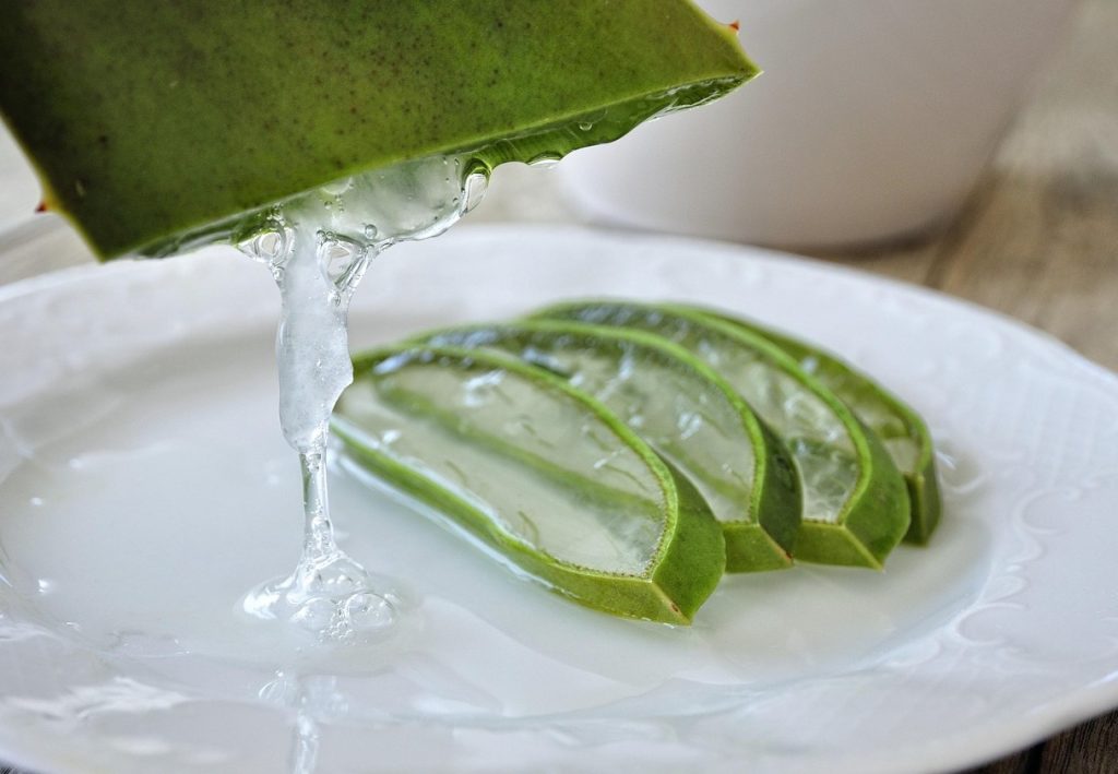 Tee ise aloe vera geel – nahka superkosteutaja valmib kergesti segistiga