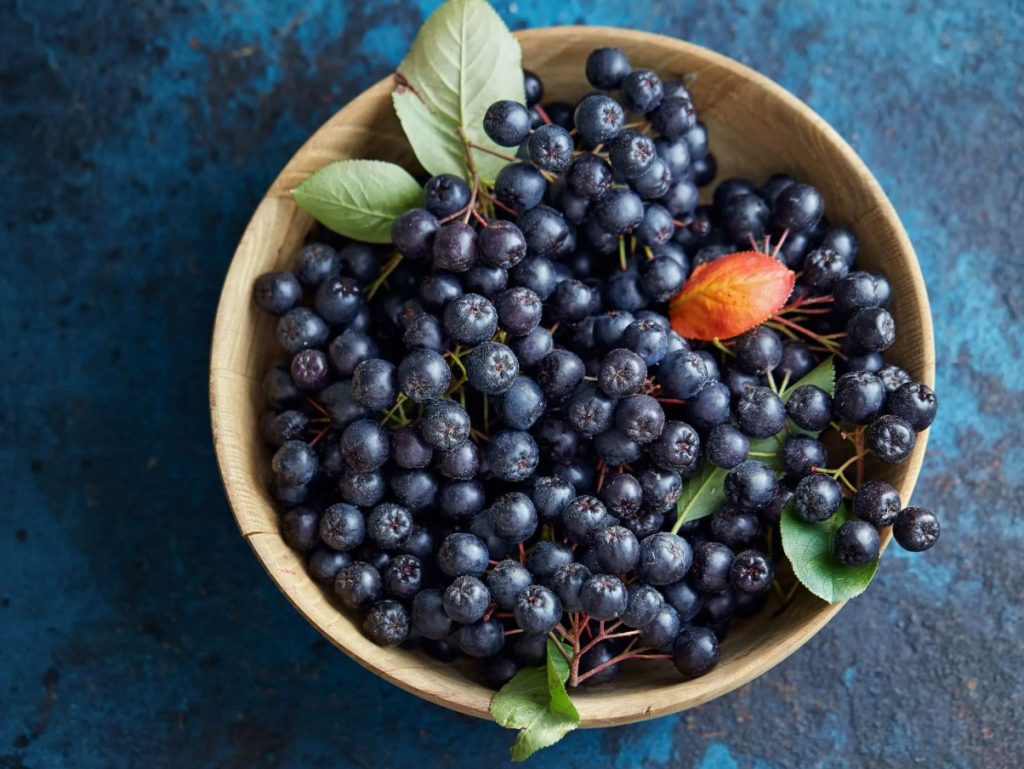 Mida teha, et aronia ei oleks kibe? Puuviljade külmutamine ei ole tavaliselt piisav