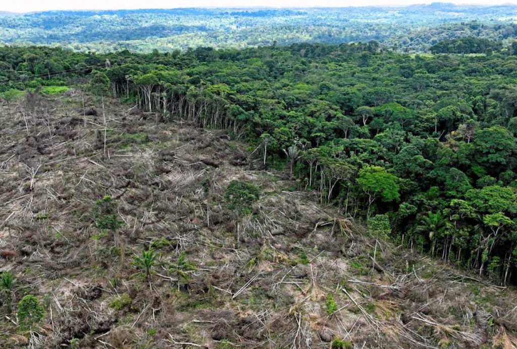 Amazonas kaotab 40 aastaga Hispaaniast suurema ala