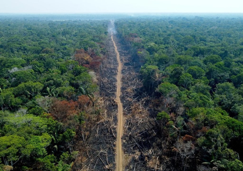 Amazonas kaotab 40 aastaga Hispaaniast suurema ala