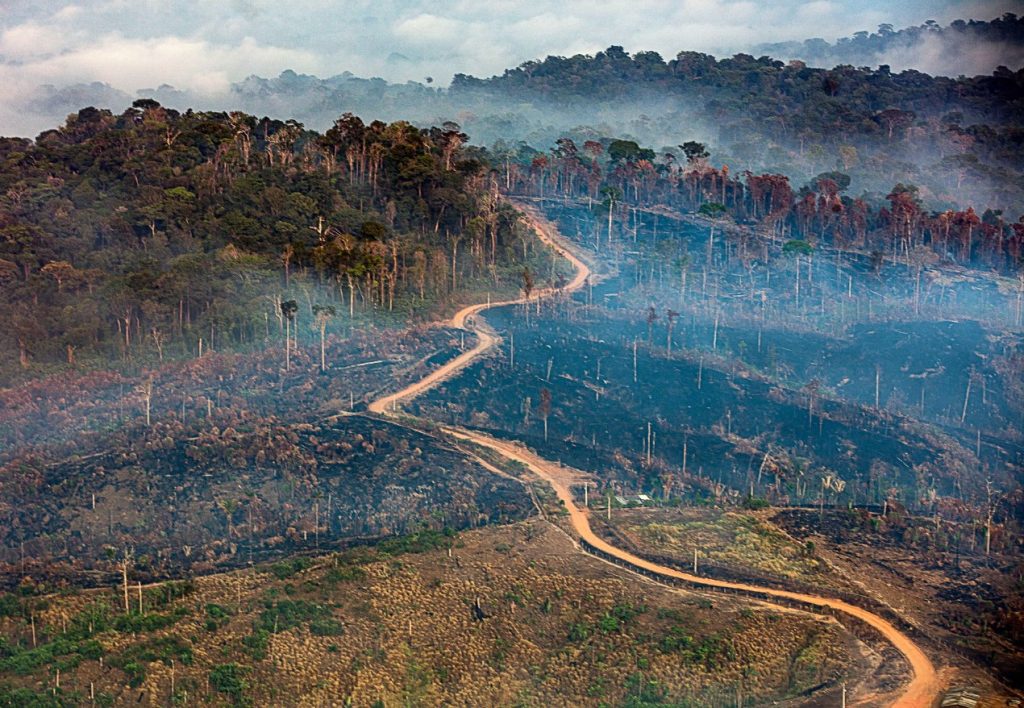 Amazonas kaotab 40 aastaga Hispaaniast suurema ala