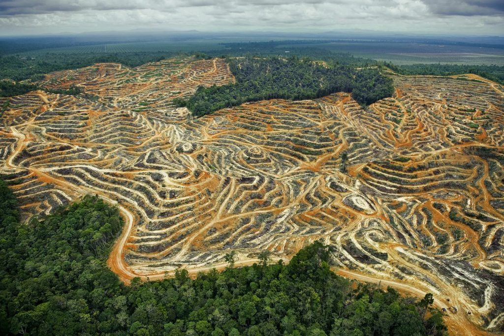Amazonas kaotab 40 aastaga Hispaaniast suurema ala