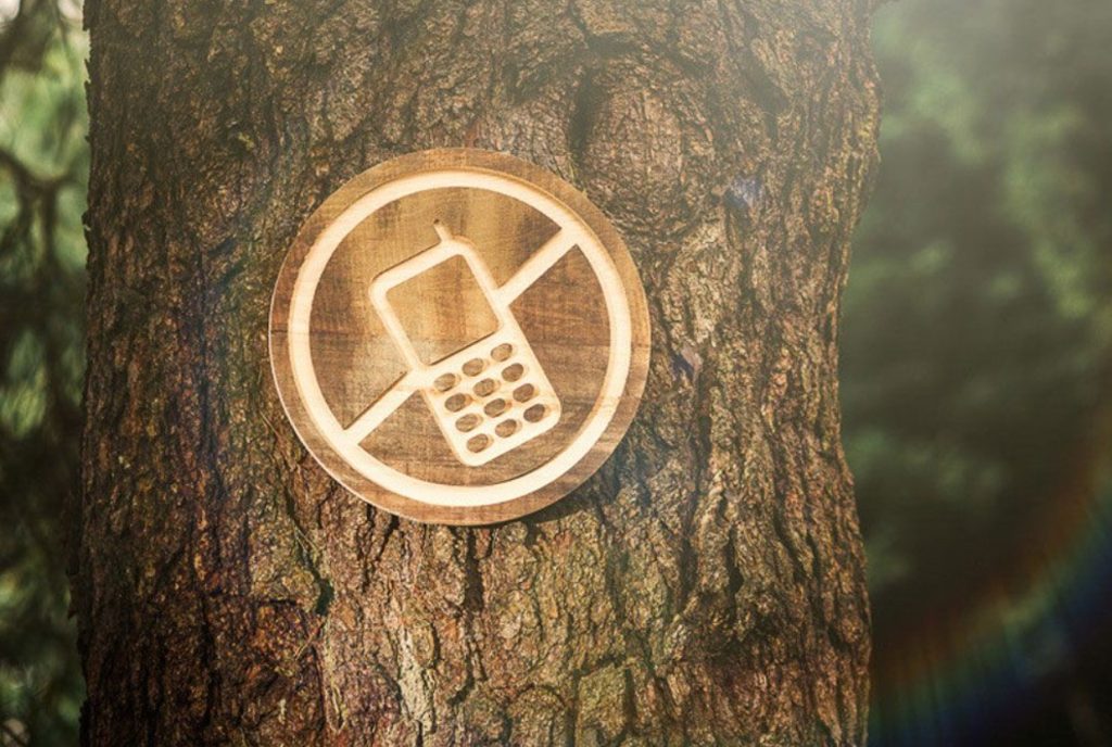 Nad loobusid internetist ja said midagi, mida meil teistel pole