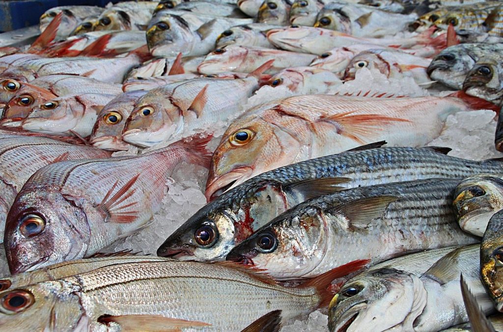 Kala puudumine toidus: millised on tagajärjed organismile