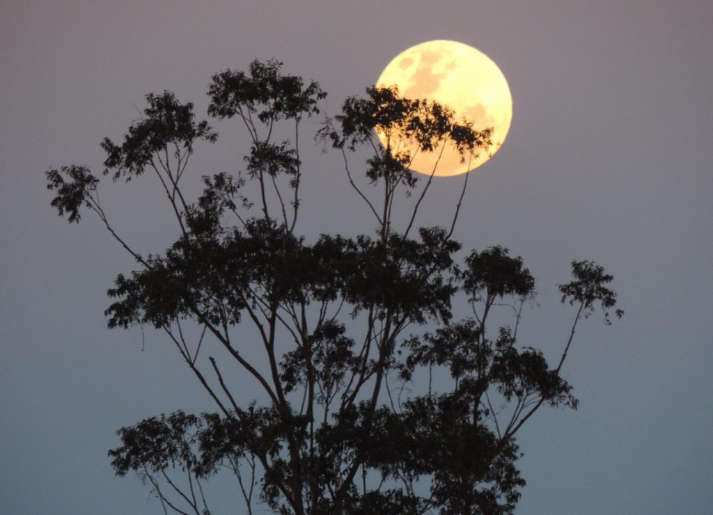 Jahimehe kuu — sügise müstiline valgusshow Eestis täna õhtul